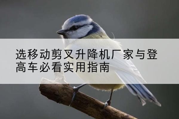 威宁电动升降机厂家-选移动剪叉升降机厂家与登高车必看实用指南
