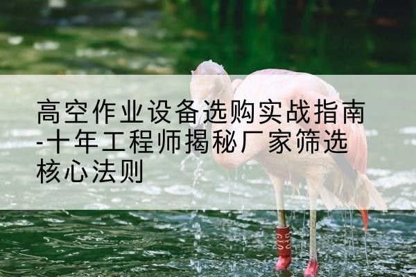 威宁剪叉式升降机厂家-高空作业设备选购实战指南-十年工程师揭秘厂家筛选核心法则