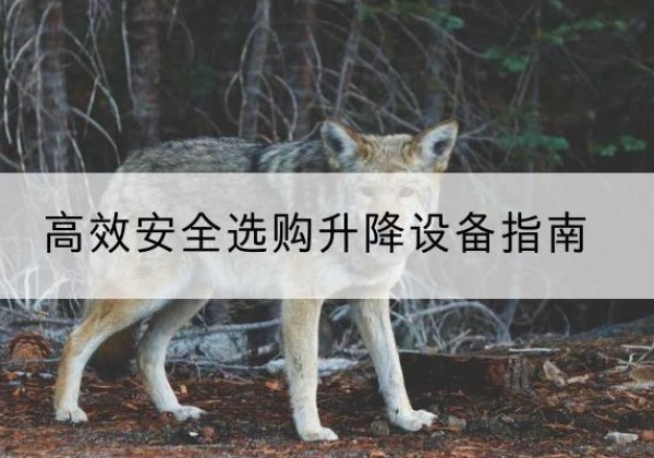 威宁升降货梯厂家推荐-*安全选购升降设备指南