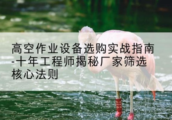 威宁剪叉式升降机厂家-高空作业设备选购实战指南-十年工程师揭秘厂家筛选核心法则
